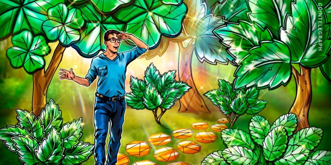 Environmental groups urge US government to take action on crypto miners