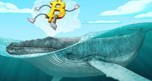 BTC price tops 10-day highs as Bitcoin whale demand sees 'huge spike'