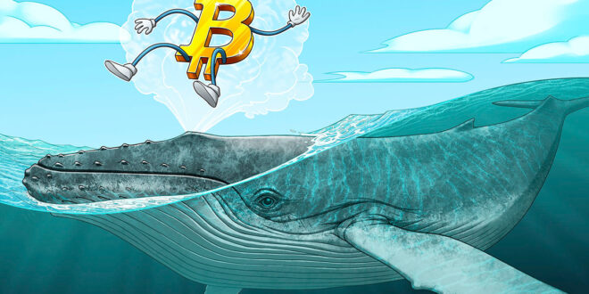 BTC price tops 10-day highs as Bitcoin whale demand sees 'huge spike'