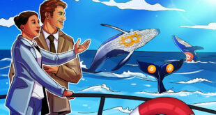 What is Bitcoin whale watching and how to track Bitcoin whales?